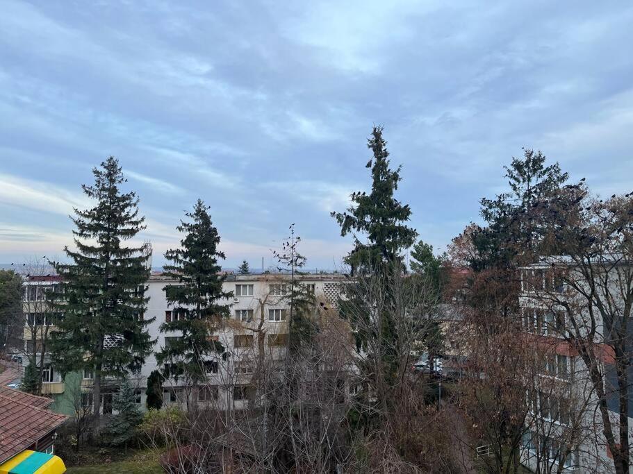 Apartament Theta- Langa Centru, Cada Hidromasaj Suceava Esterno foto
